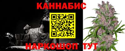 трава Лесосибирск