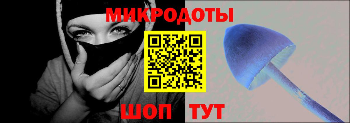 Псилоцибиновые грибы Cubensis Каменск-Уральский